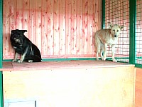 [Нажмите для просмотра]