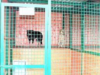 [Нажмите для просмотра]