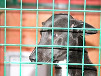 [Нажмите для просмотра]