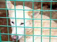 [Нажмите для просмотра]