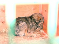 [Нажмите для просмотра]