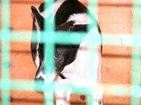 [Нажмите для просмотра]