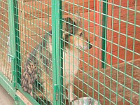 [Нажмите для просмотра]