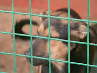 [Нажмите для просмотра]