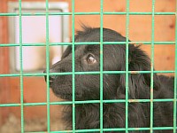 [Нажмите для просмотра]