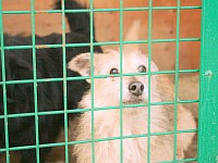 [Нажмите для просмотра]