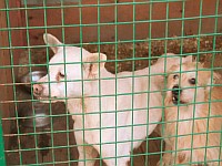 [Нажмите для просмотра]