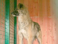 [Нажмите для просмотра]