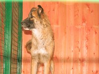 [Нажмите для просмотра]