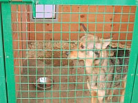 [Нажмите для просмотра]
