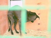 [Нажмите для просмотра]