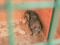 [Нажмите для просмотра]