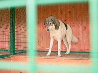 [Нажмите для просмотра]