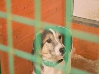 [Нажмите для просмотра]
