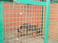 [Нажмите для просмотра]